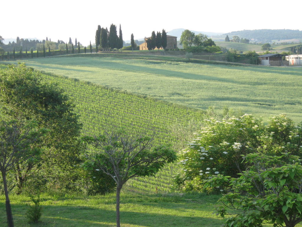 Agriturismo Santa Maria Торрита-ди-Сьена Экстерьер фото