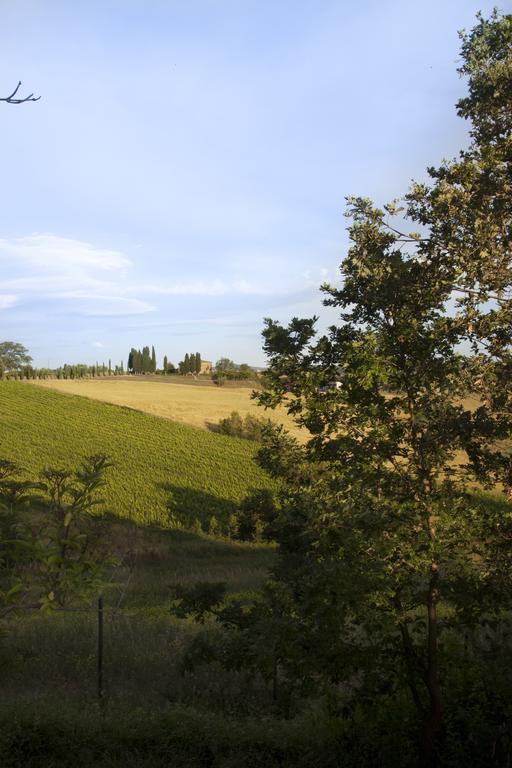 Agriturismo Santa Maria Торрита-ди-Сьена Экстерьер фото